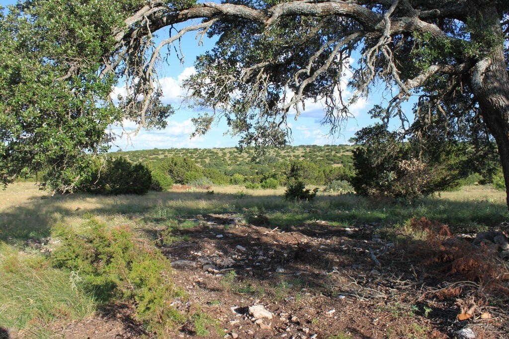 100 acres in Sutton County - photo 10