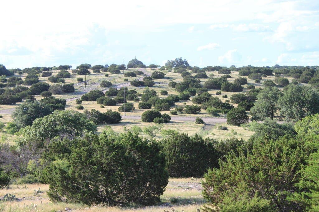 100 acres in Sutton County - photo 4