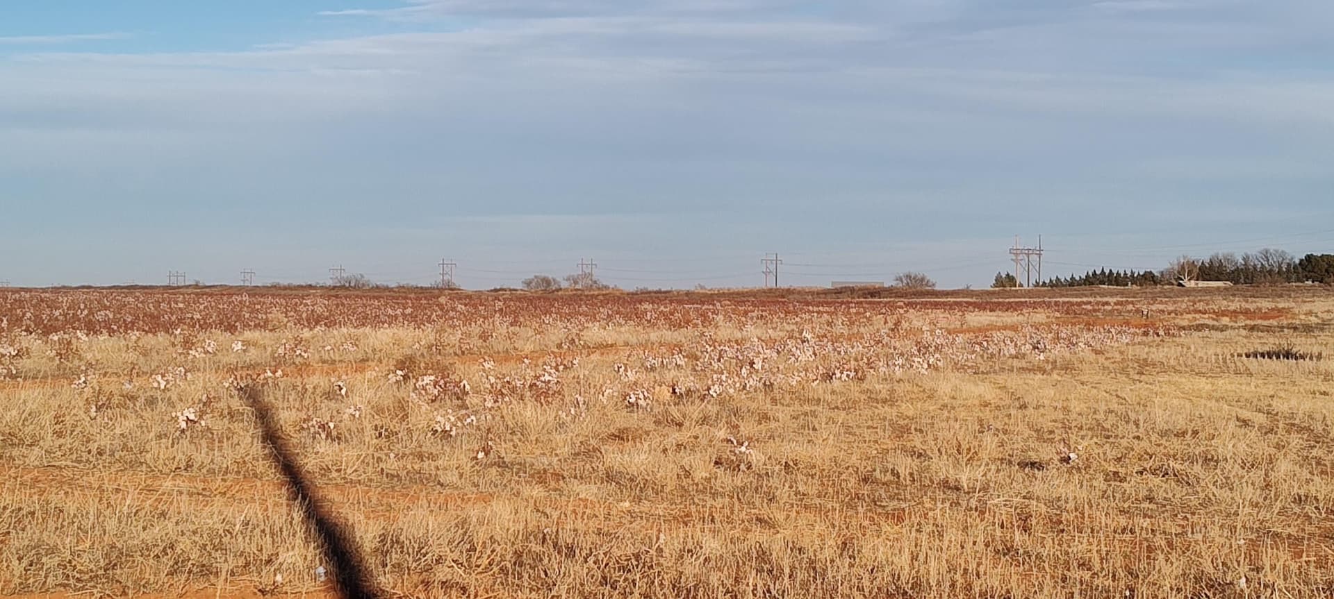 10 acres in Terry County gallery image 3