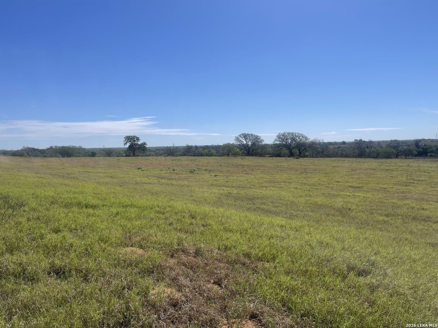 36 acres in Wilson County - photo 45