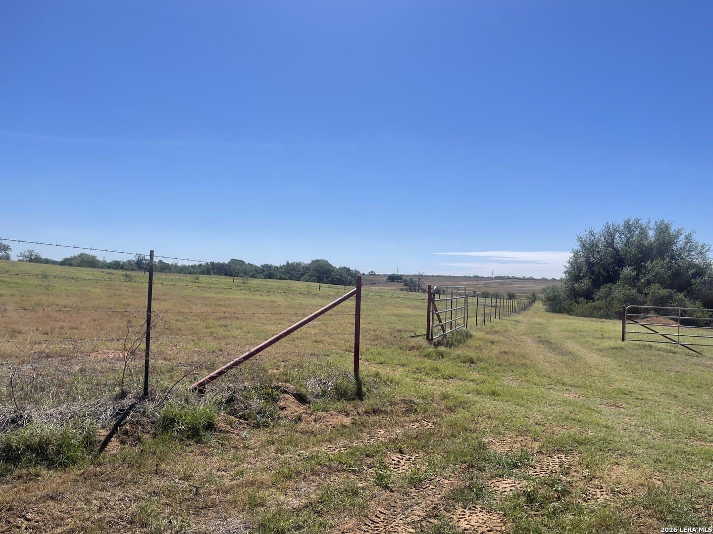 36 acres in Wilson County - photo 16