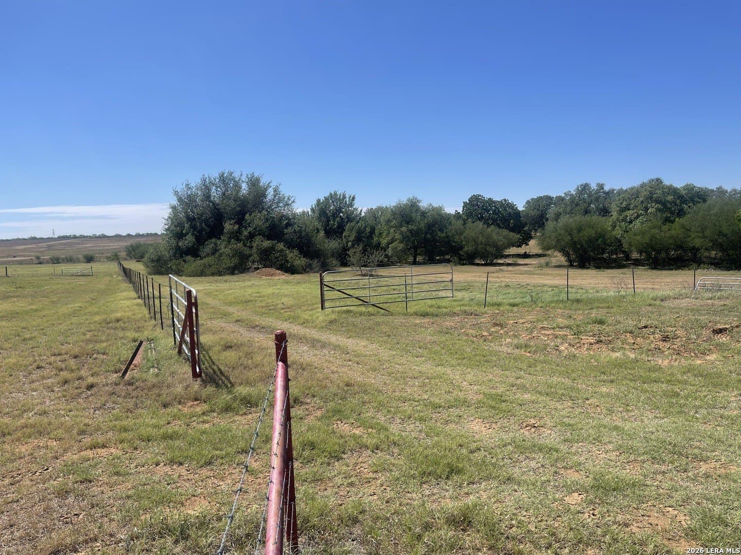 36 acres in Wilson County - photo 12