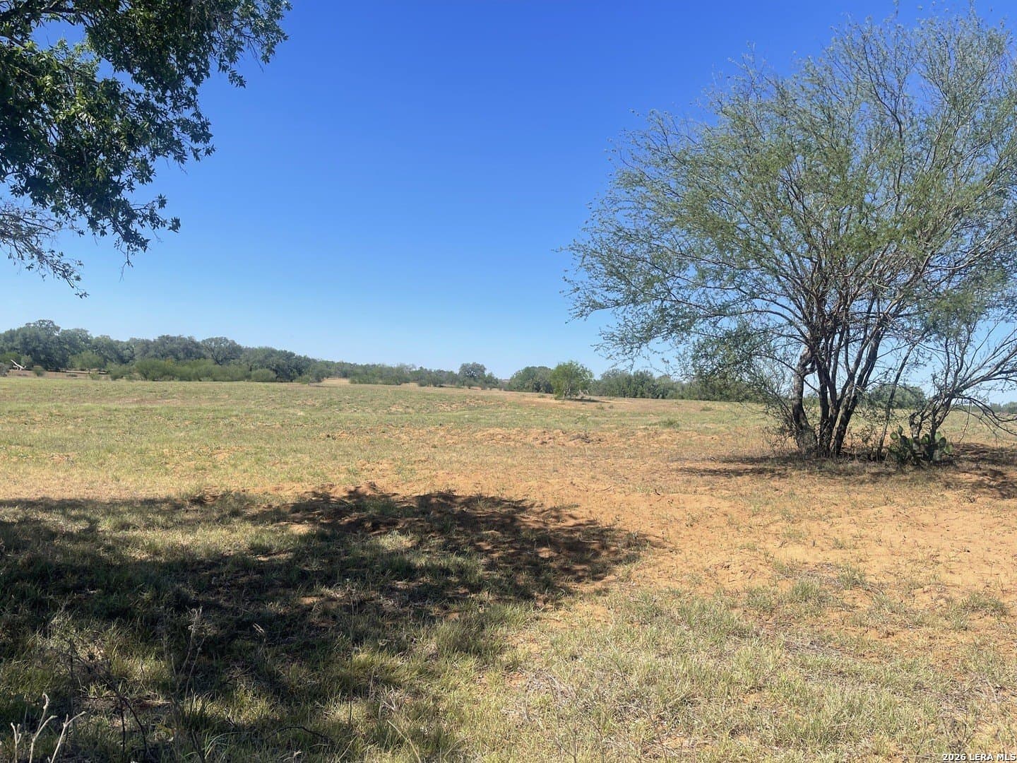 36 acres in Wilson County - photo 8