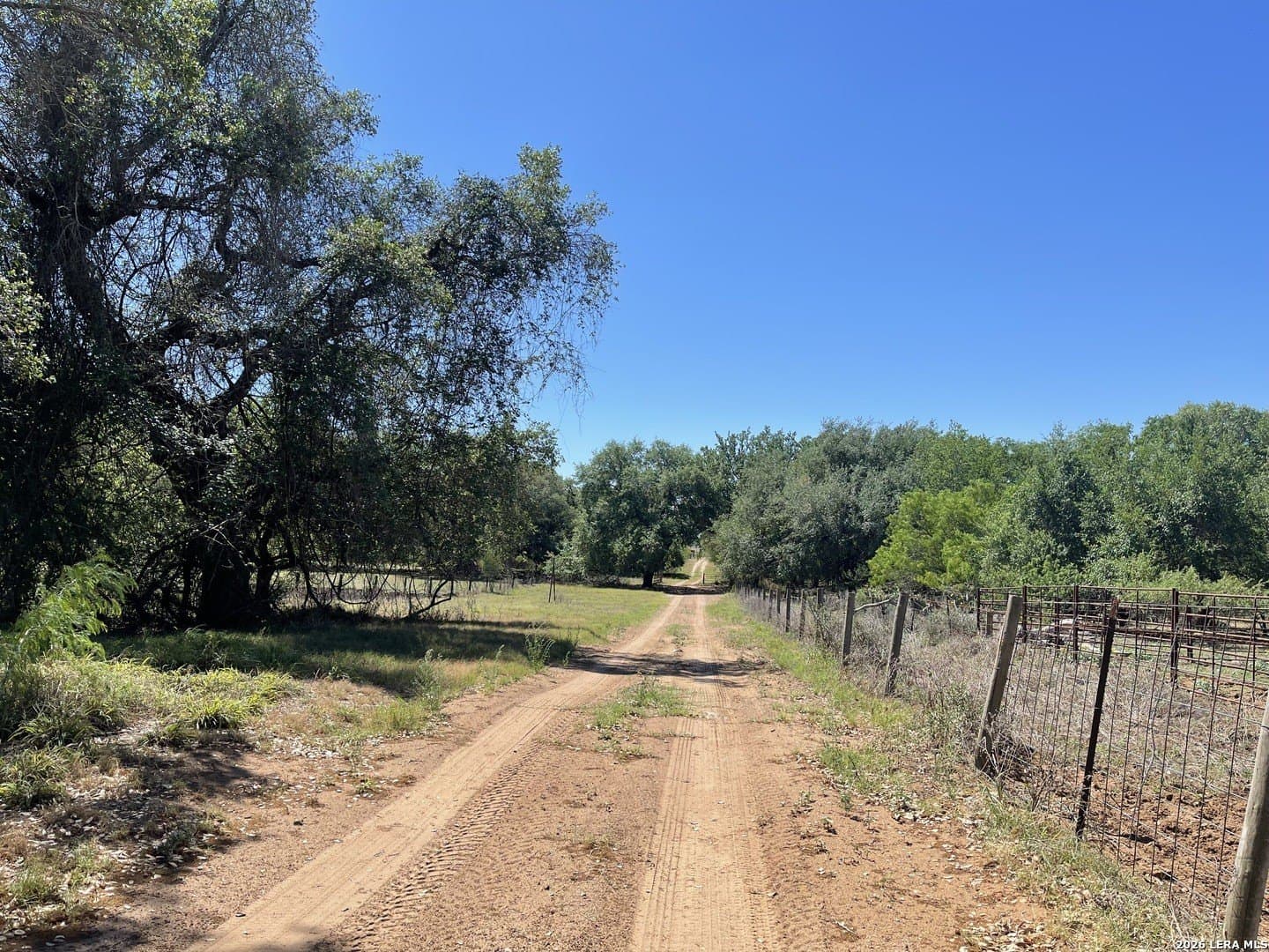 36 acres in Wilson County - photo 18