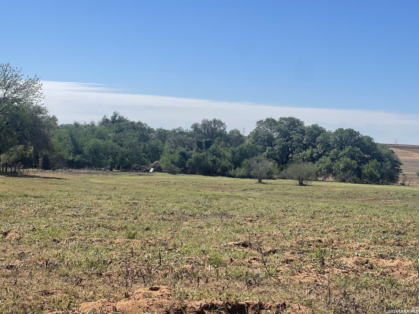 36 acres in Wilson County - photo 17