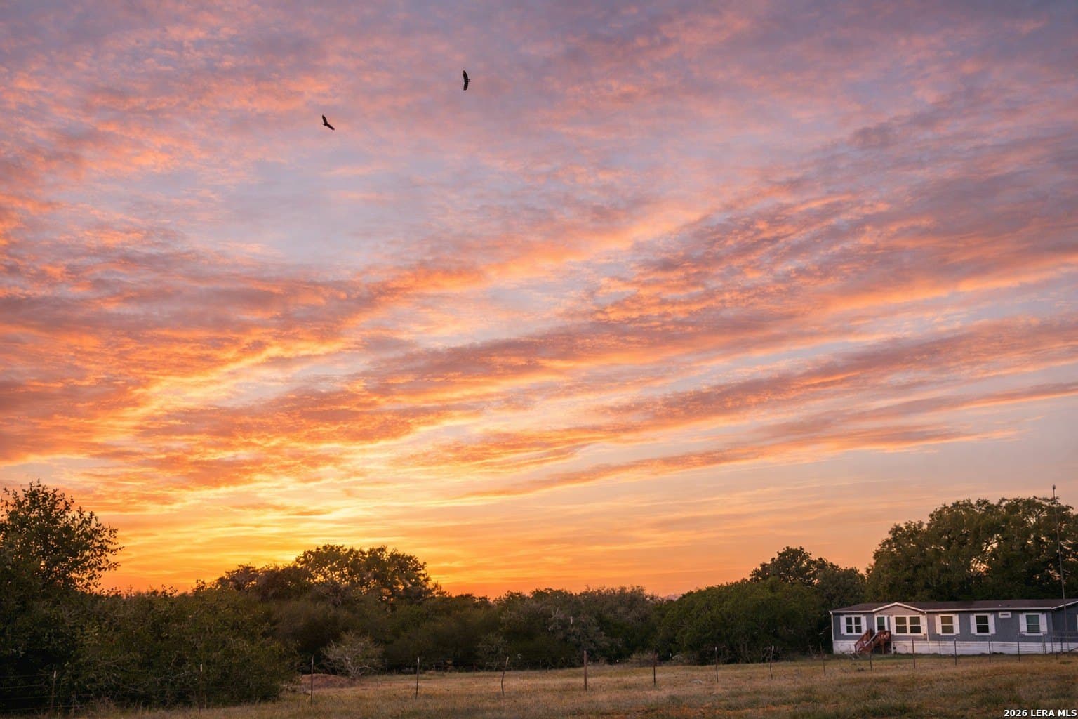 36 acres in Wilson County gallery image 2