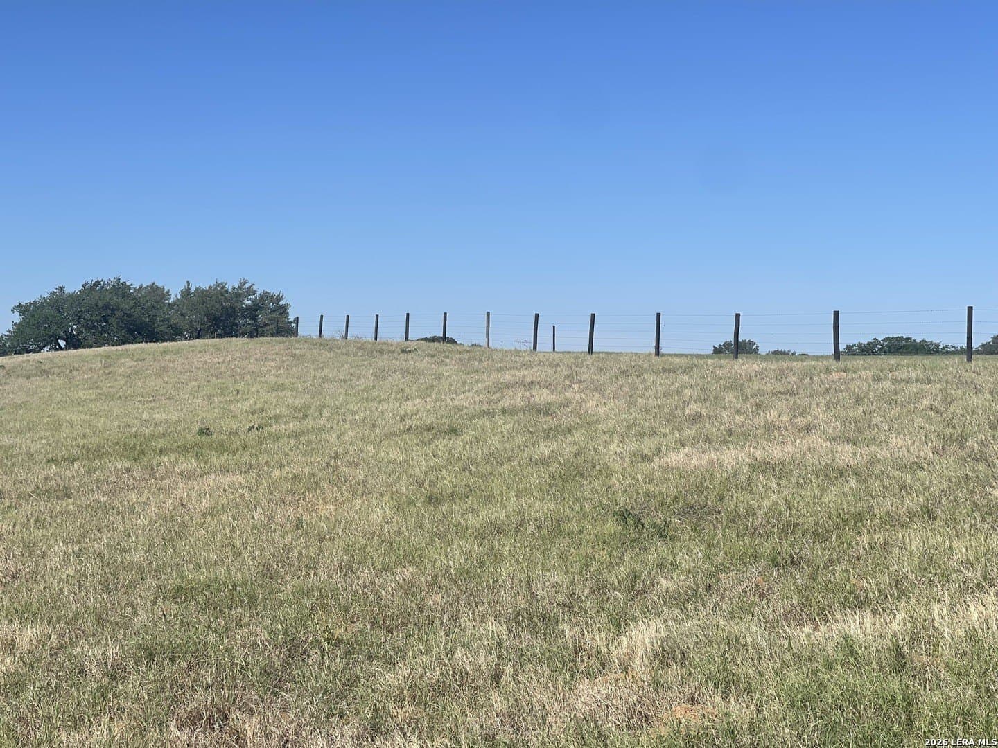 36 acres in Wilson County - photo 11