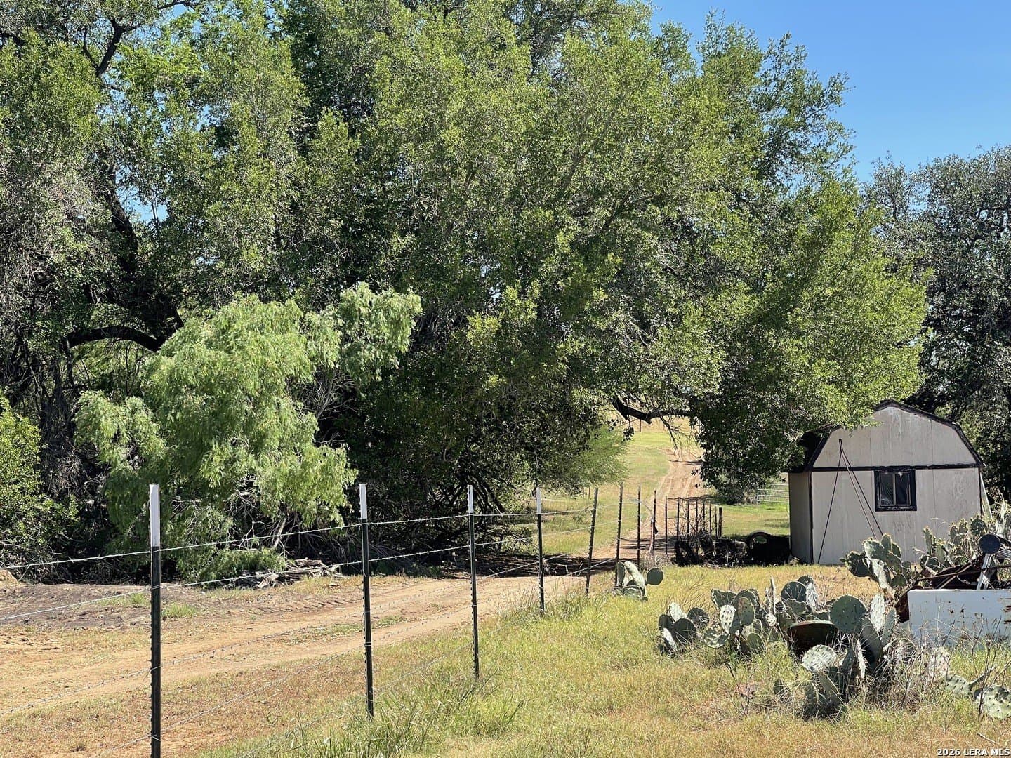 36 acres in Wilson County - photo 21