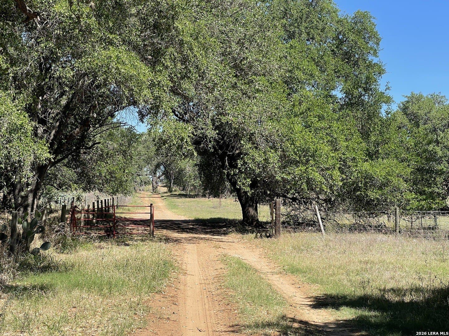 36 acres in Wilson County - photo 47