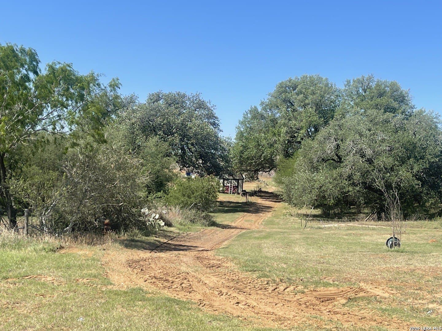 36 acres in Wilson County - photo 15