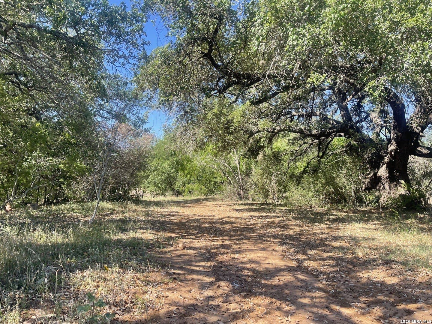 36 acres in Wilson County - photo 9