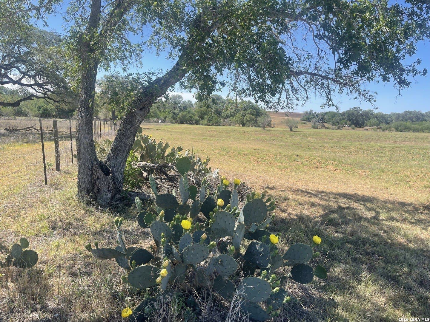36 acres in Wilson County - photo 6