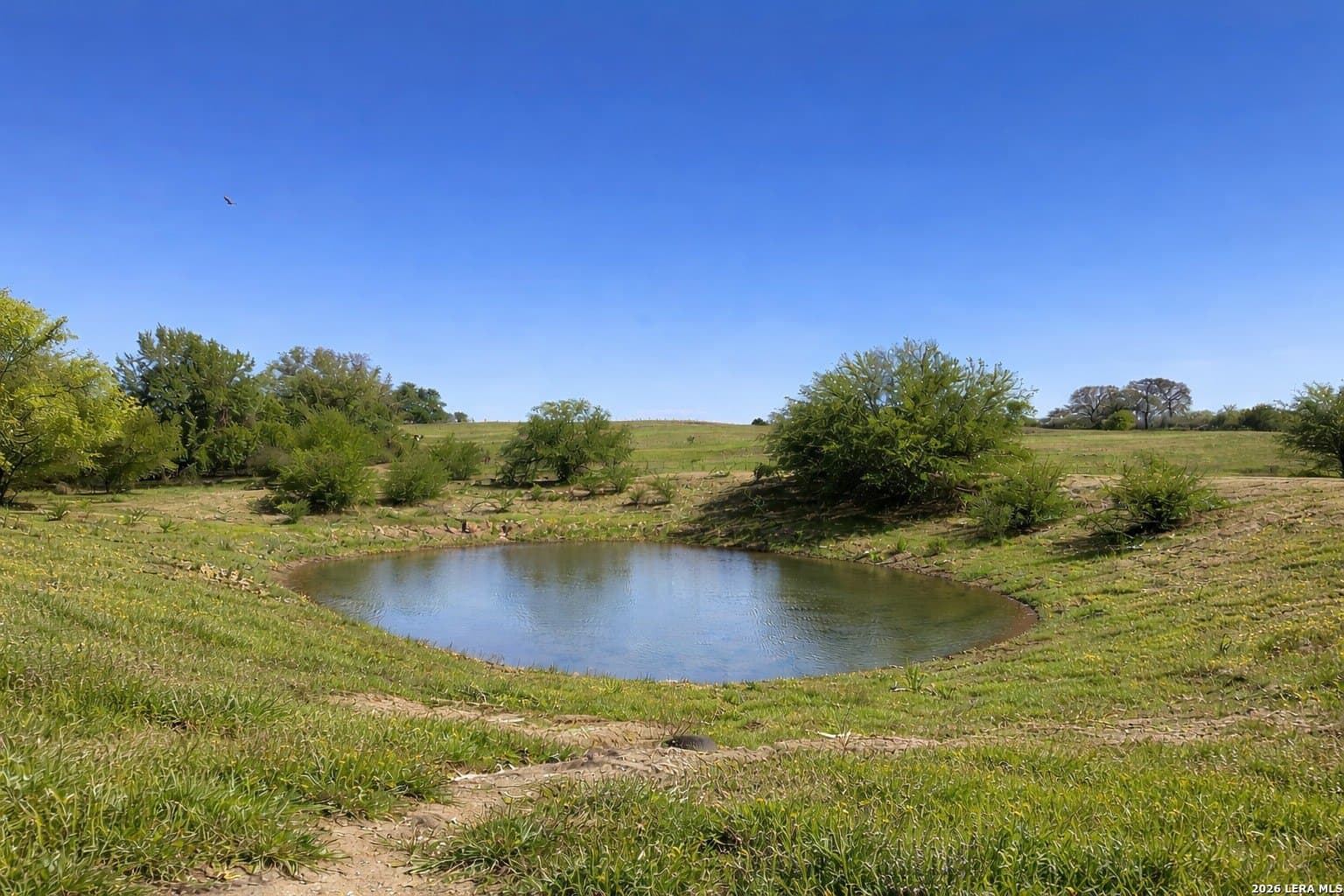 36 acres in Wilson County - photo 24