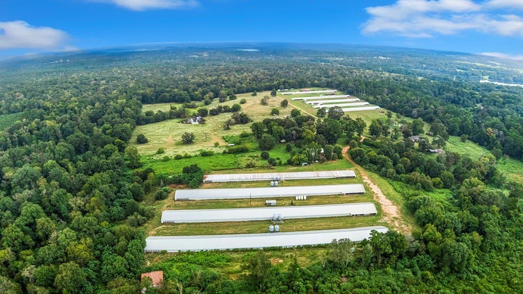 42 acres in Texas County gallery image 2