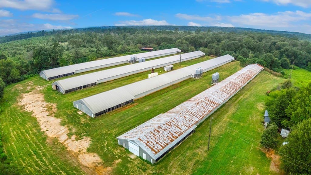 42 acres in Texas County gallery image 3