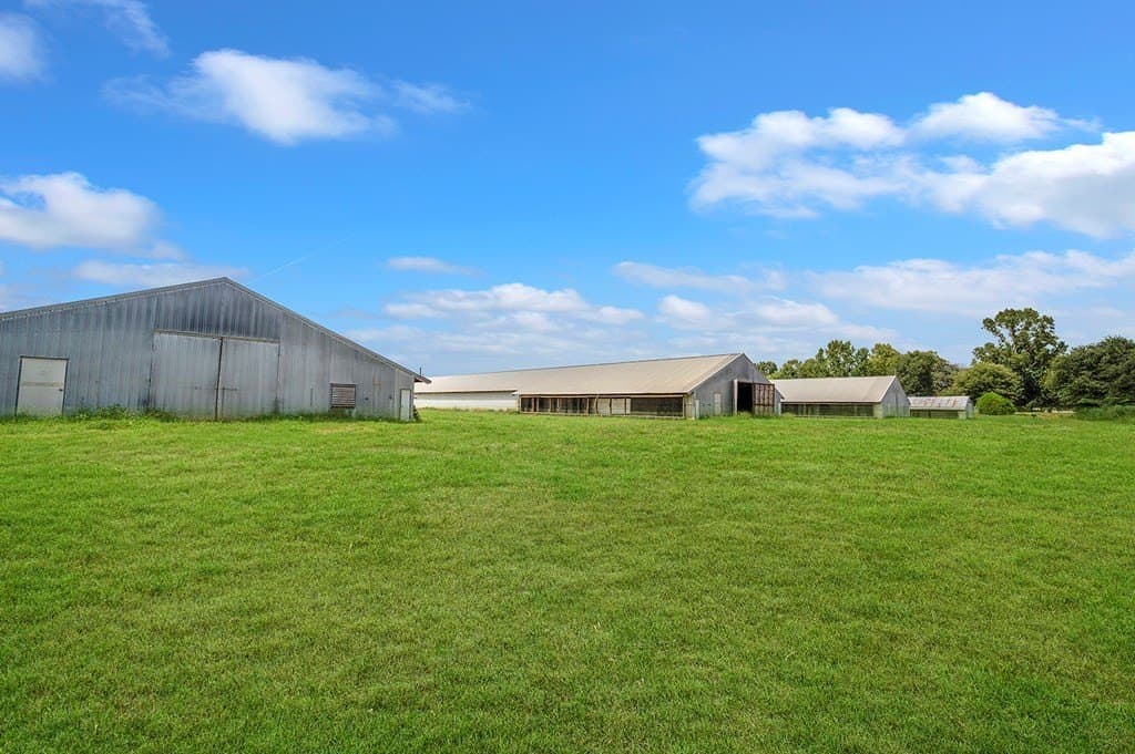 42 acres in Texas County gallery image 4