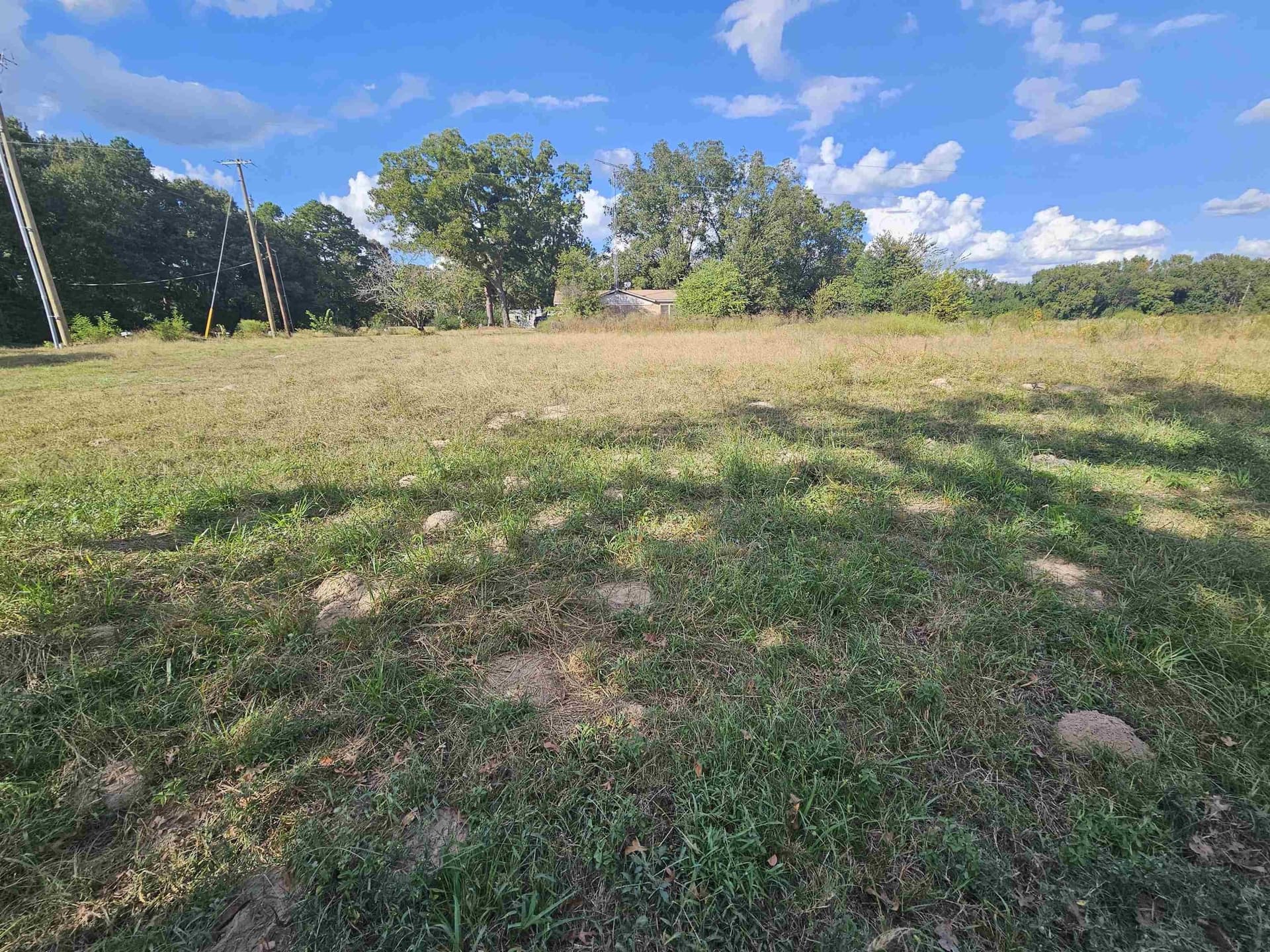 0.95 acres in Henderson County gallery image 2