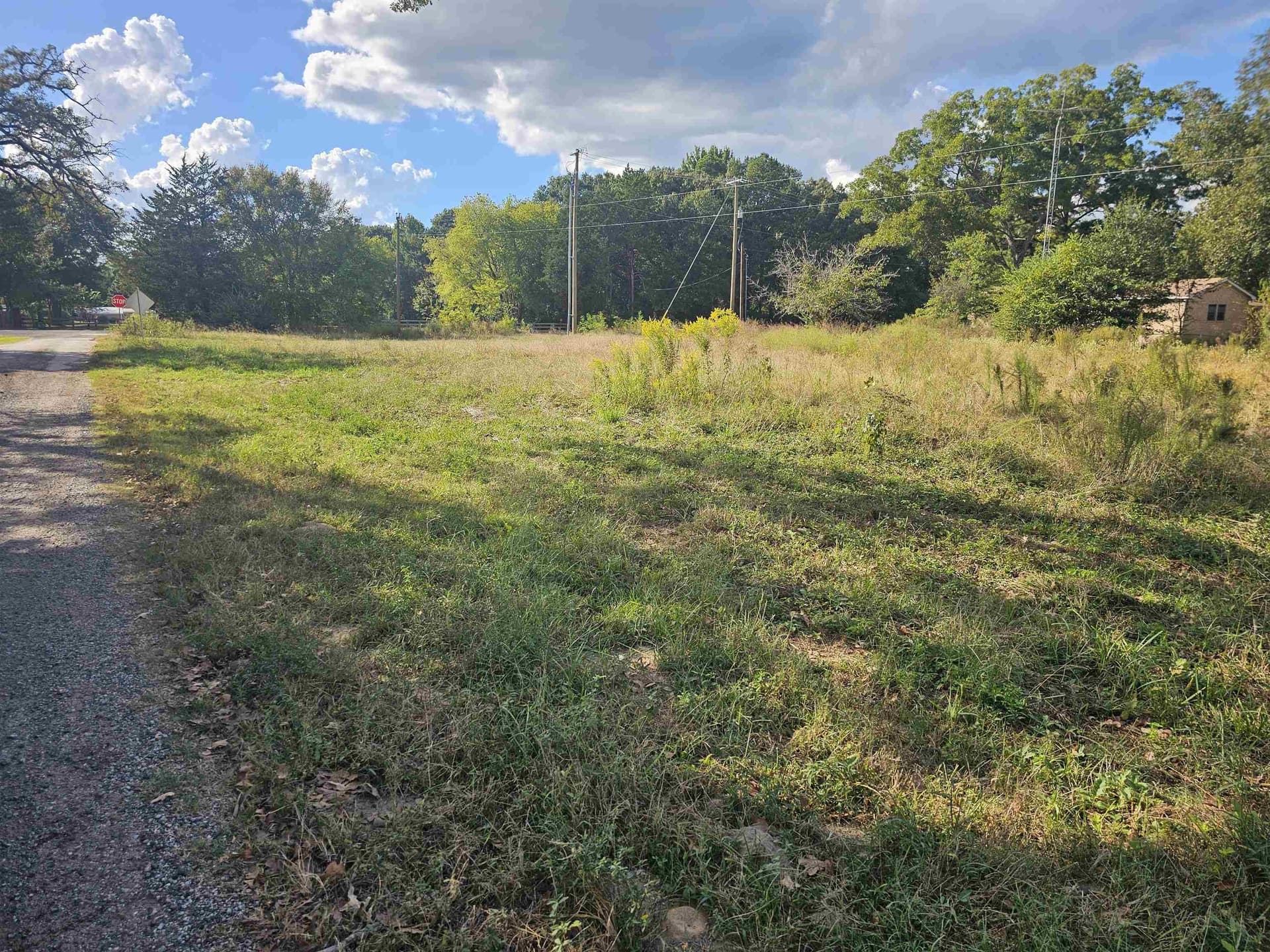 0.95 acres in Henderson County gallery image 4