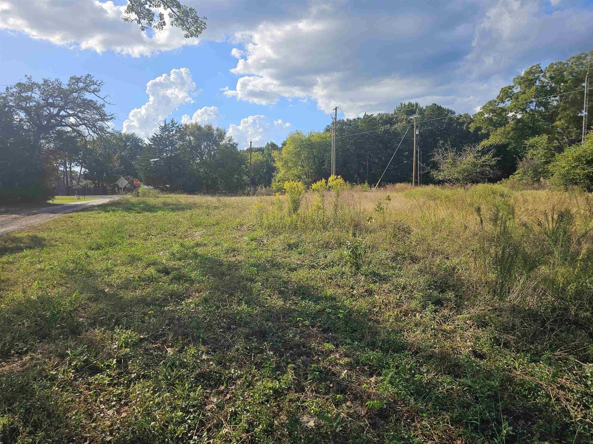 0.95 acres in Henderson County gallery image 3