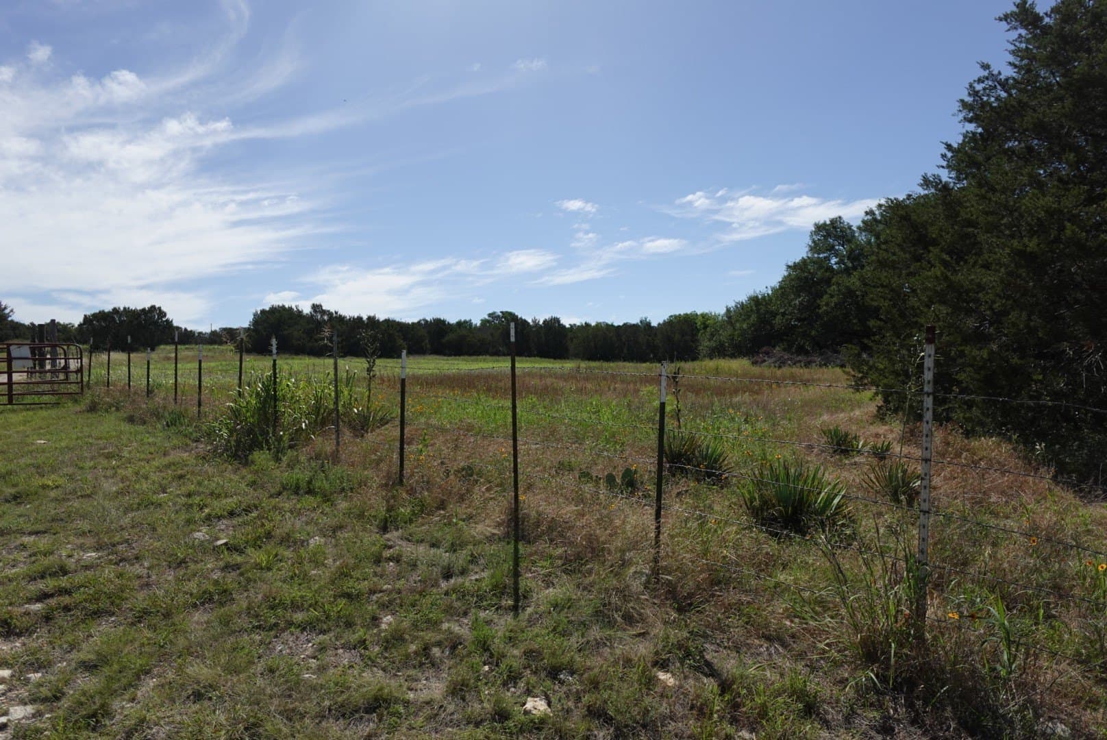 10.2 acres in Erath County - photo 16