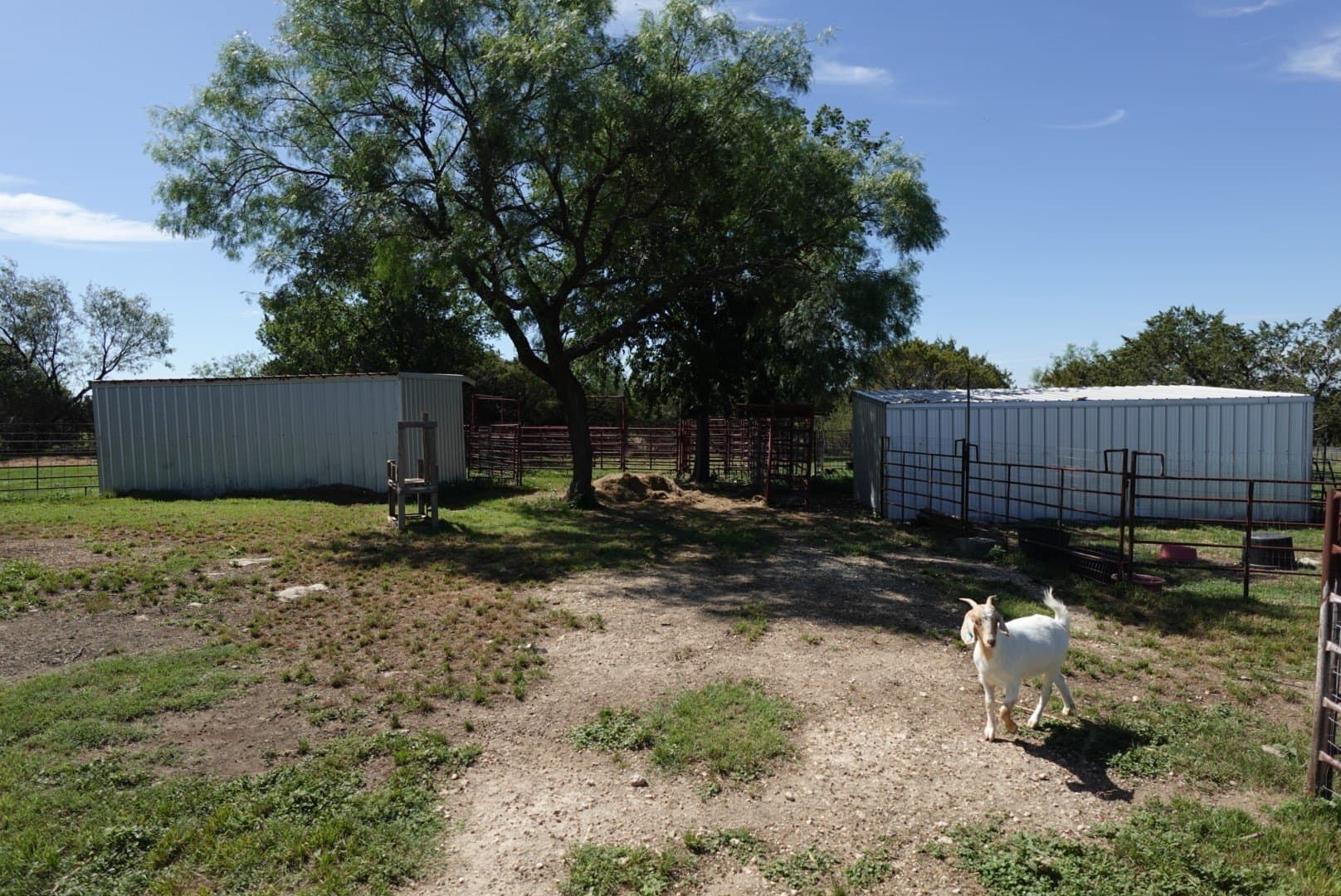 10.2 acres in Erath County - photo 27