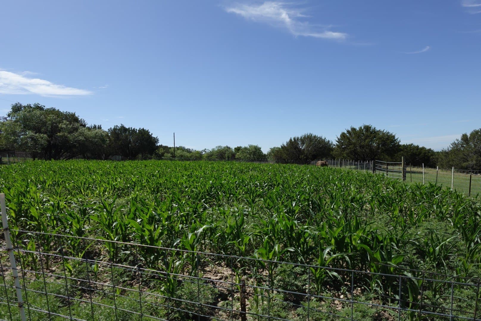10.2 acres in Erath County - photo 22