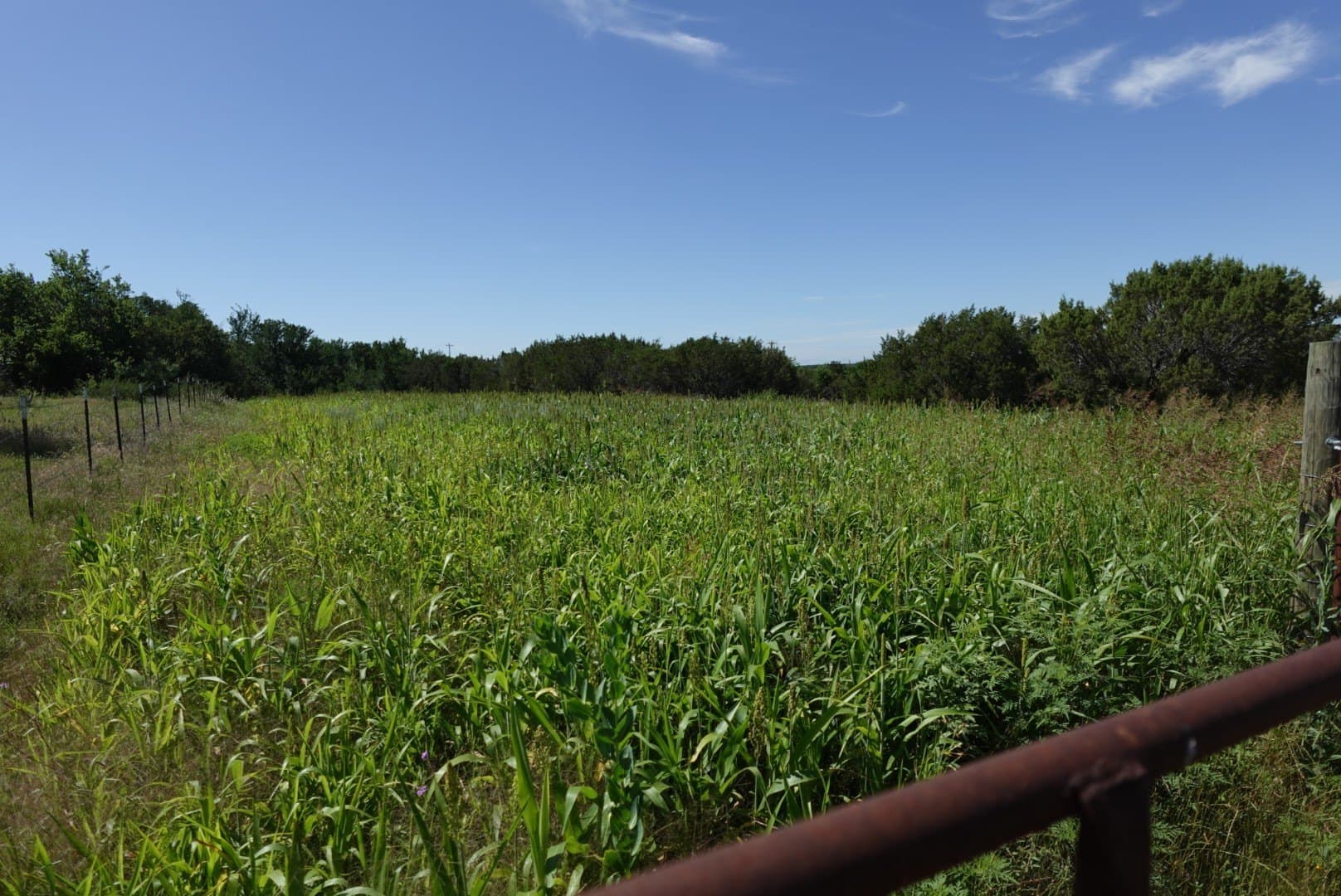 10.2 acres in Erath County - photo 20