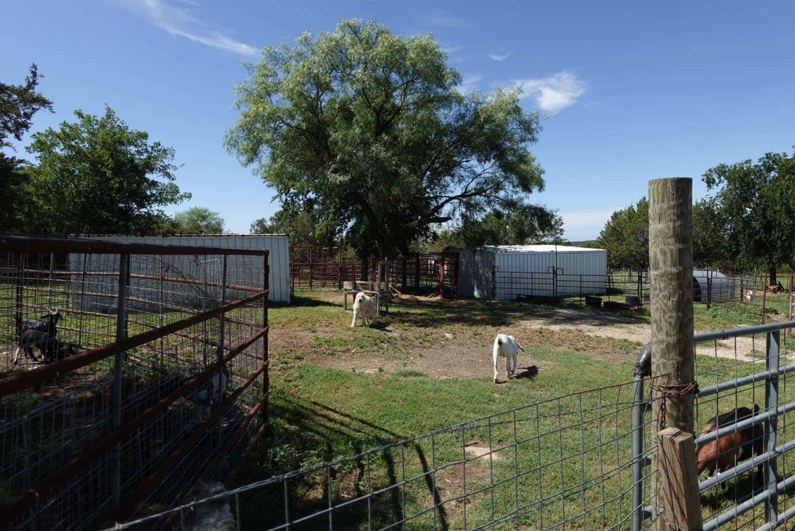 10.2 acres in Erath County - photo 28
