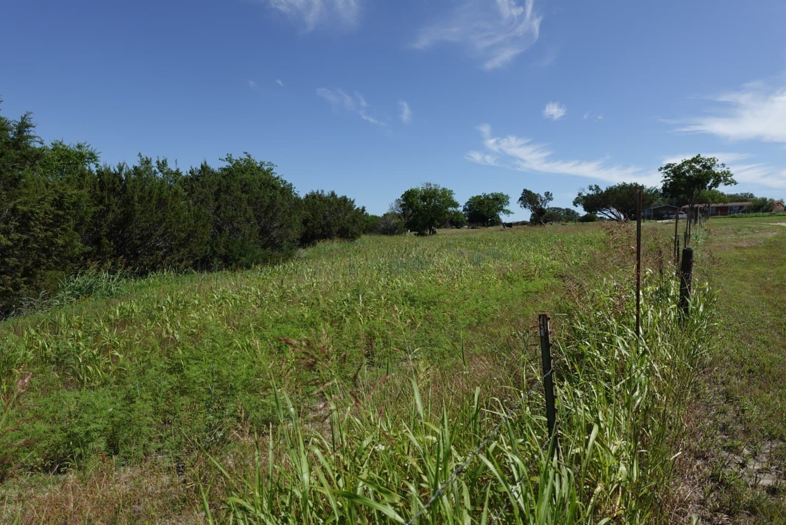 10.2 acres in Erath County - photo 19