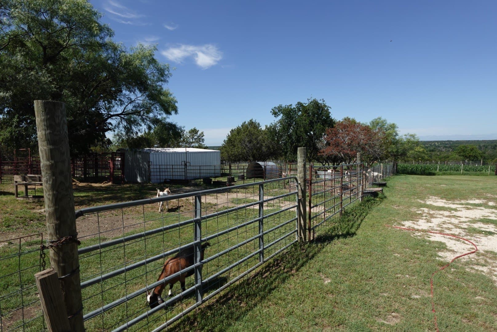 10.2 acres in Erath County - photo 29