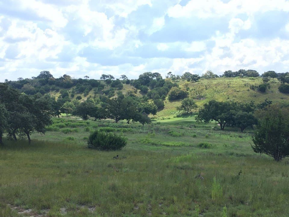 3.96 acres in Gillespie County gallery image 3