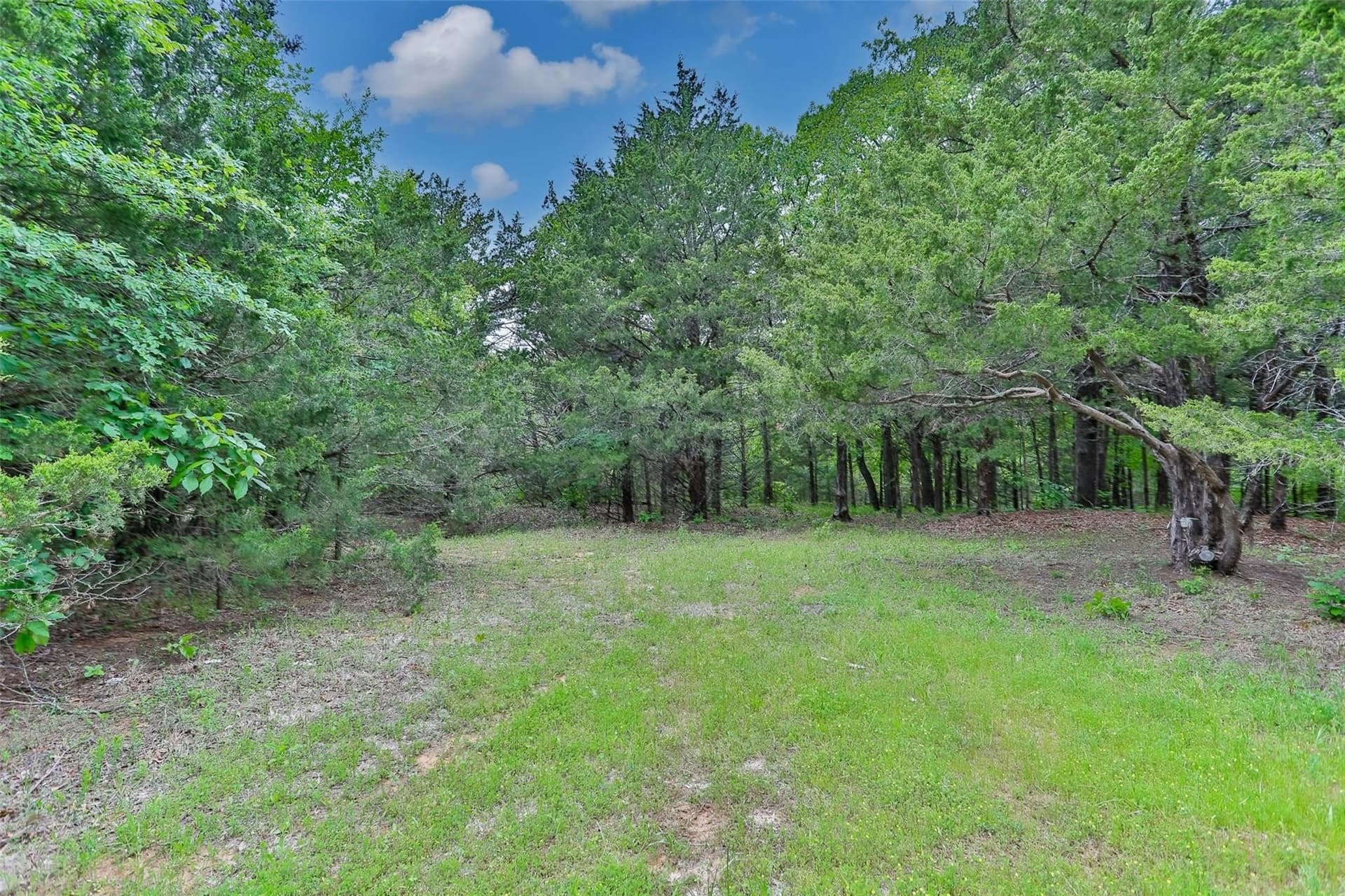 0.54 acres in Grayson County - photo 9