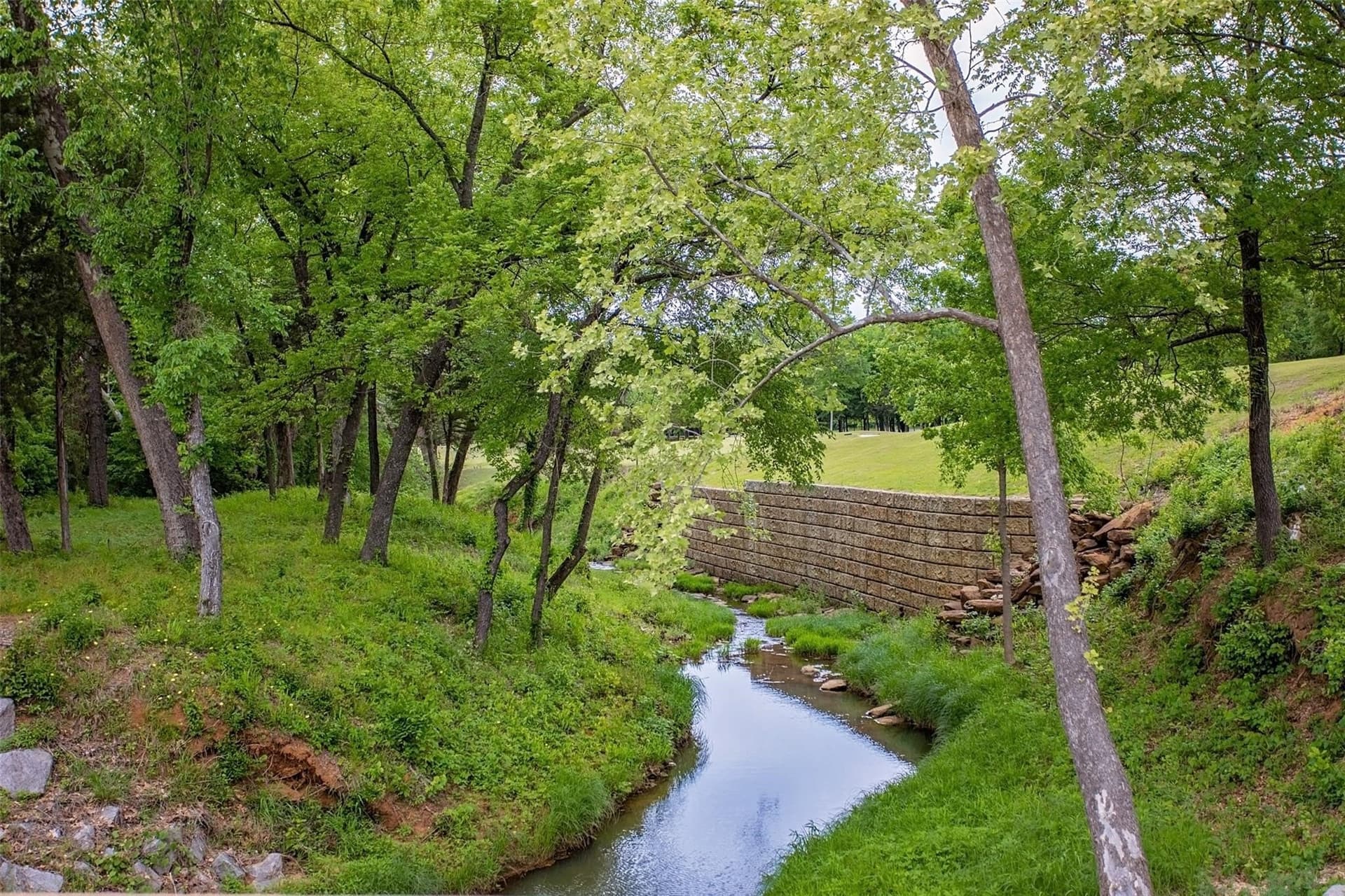 0.54 acres in Grayson County - photo 19