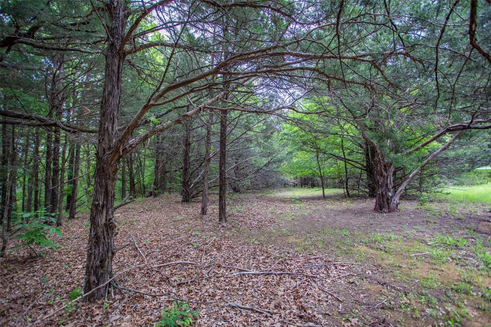 0.54 acres in Grayson County - photo 10