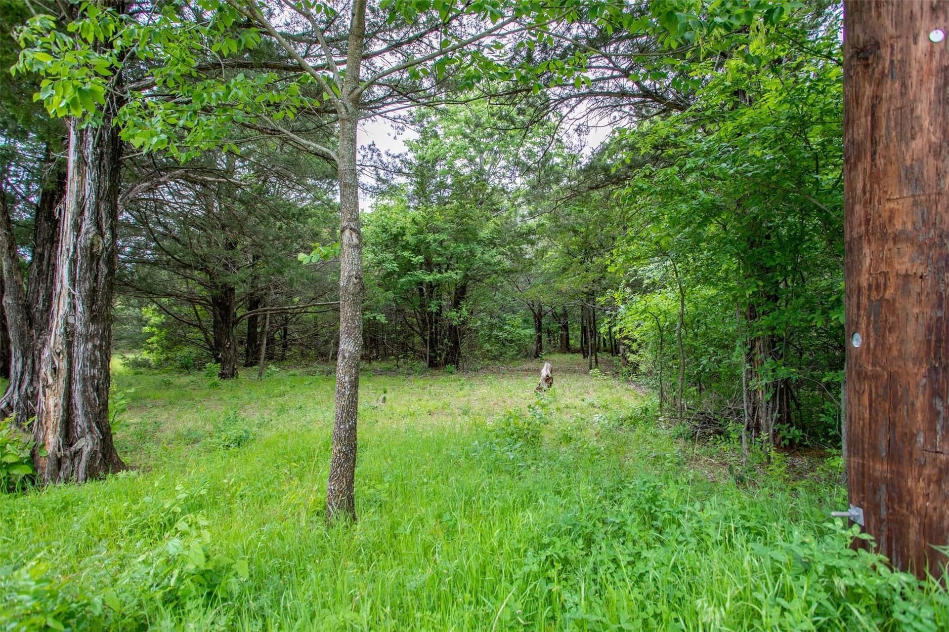0.54 acres in Grayson County - photo 8