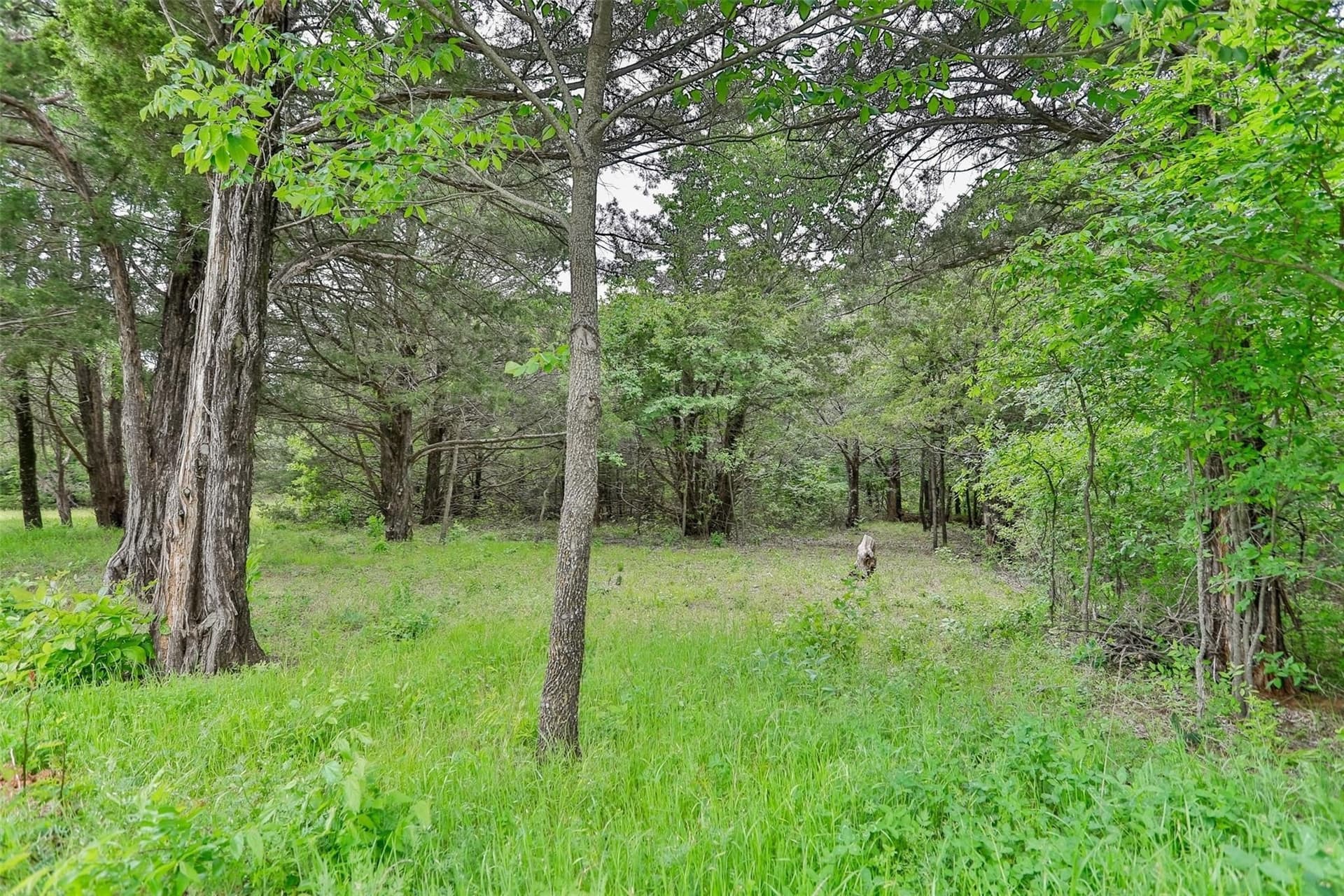 0.54 acres in Grayson County - photo 7