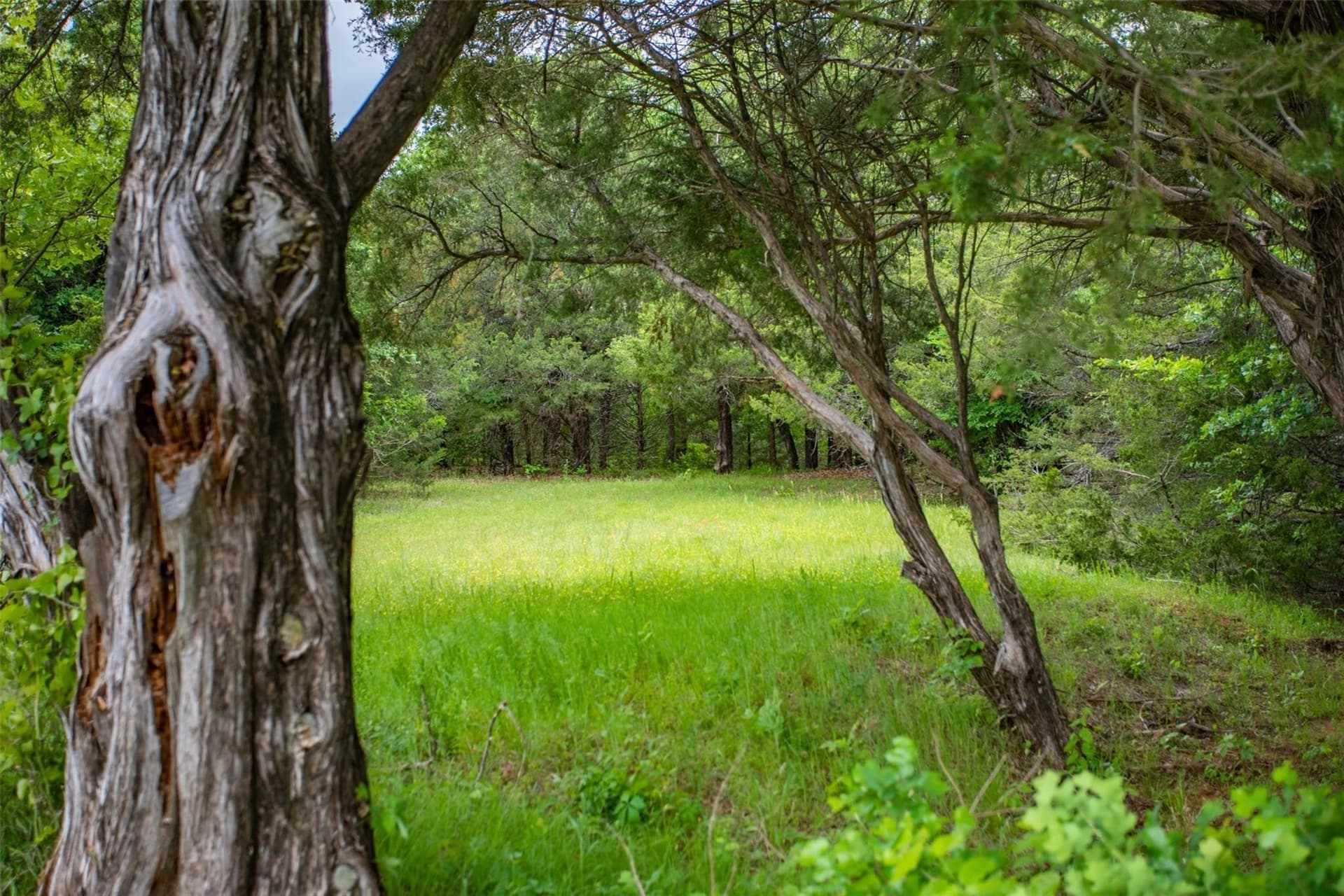 0.54 acres in Grayson County - photo 11