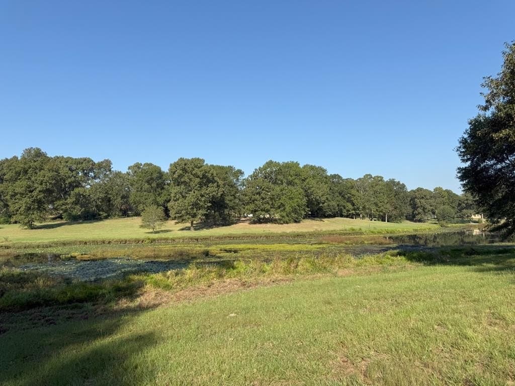 15.47 acres in Texas County gallery image 4