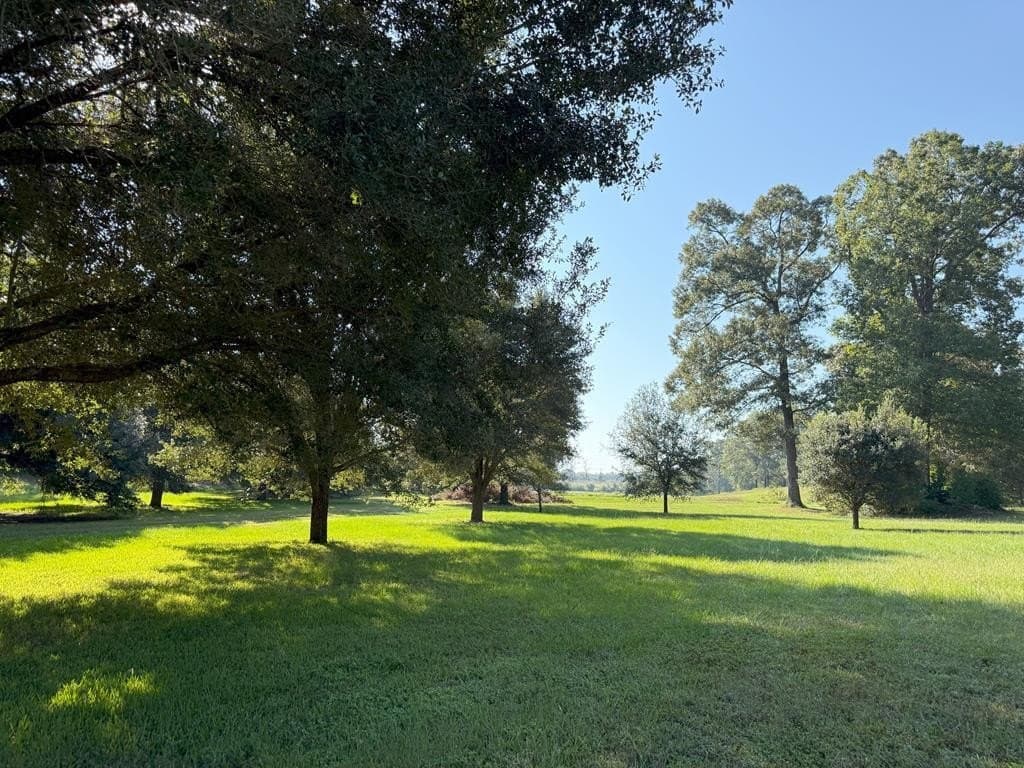 15.47 acres in Texas County gallery image 3