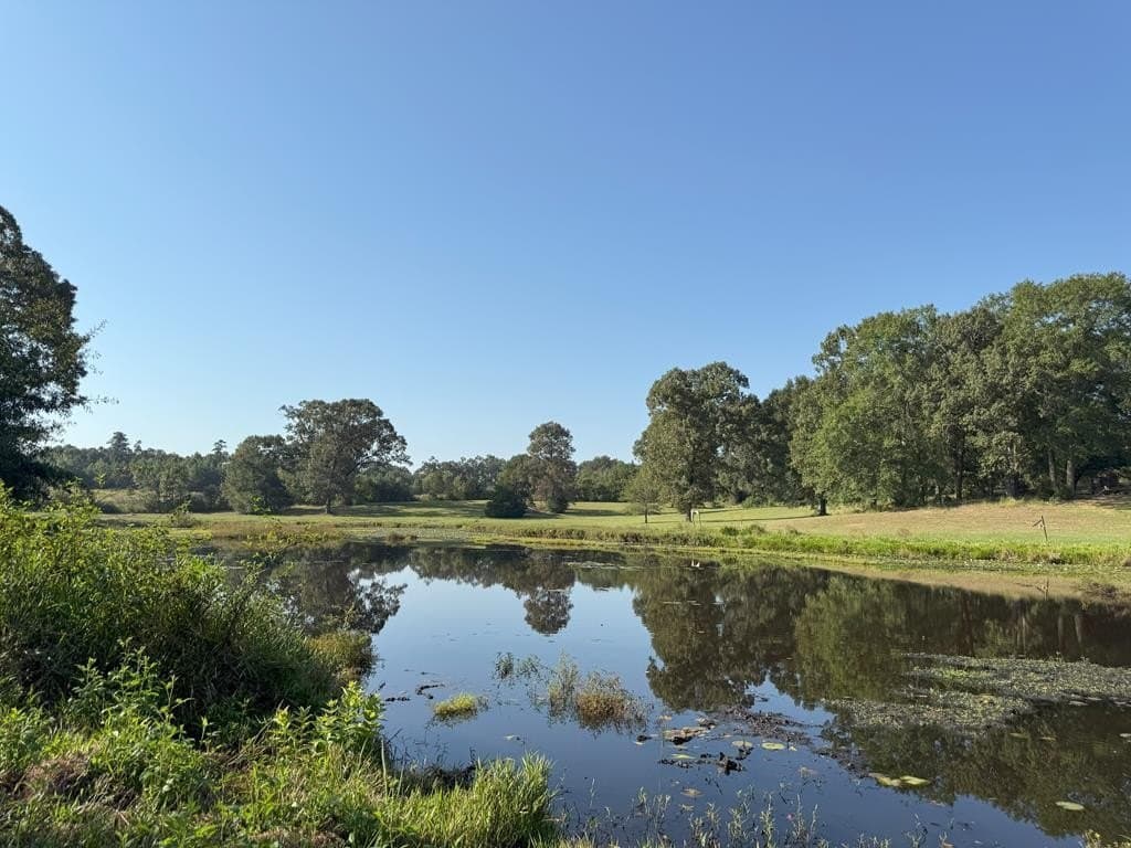 15.47 acres in Texas County gallery image 2