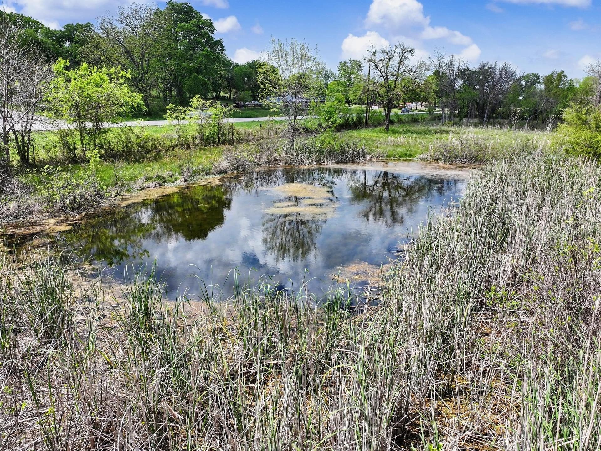 22.41 acres in Grayson County - photo 26