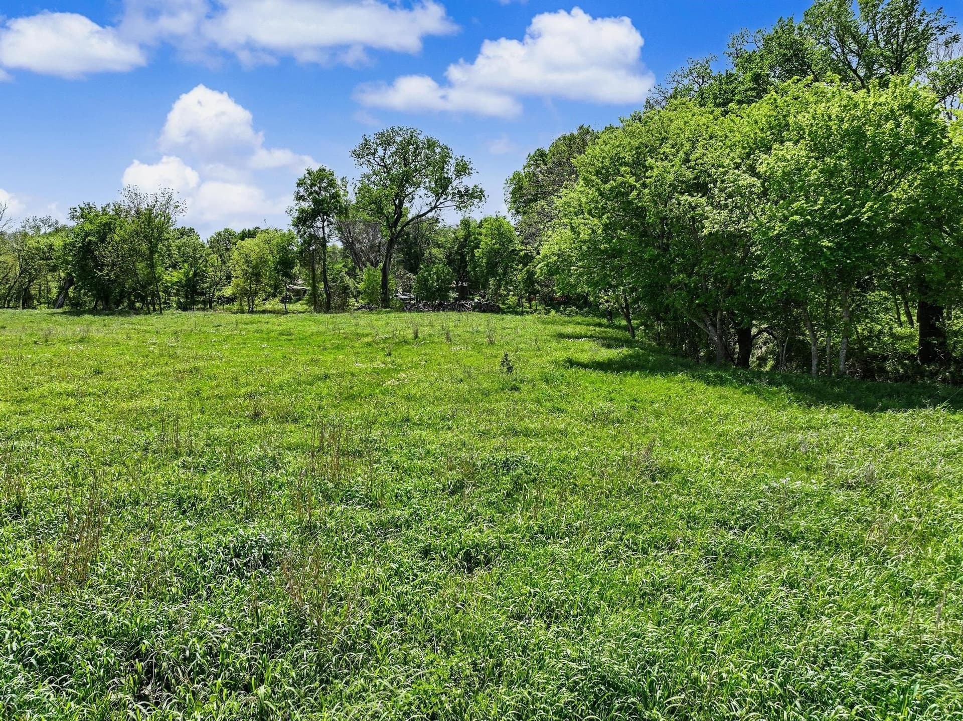 22.41 acres in Grayson County - photo 21