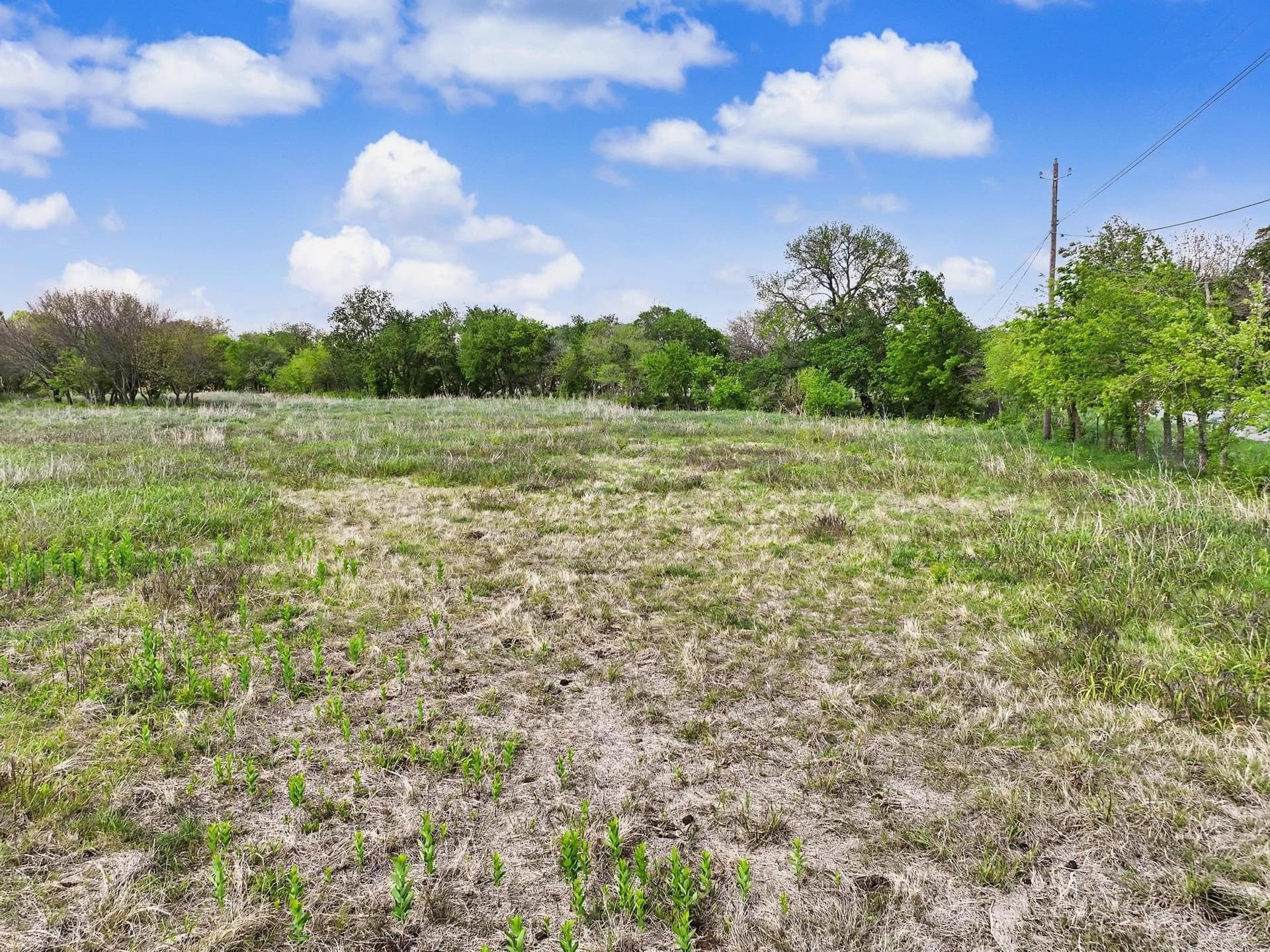 22.41 acres in Grayson County - photo 25