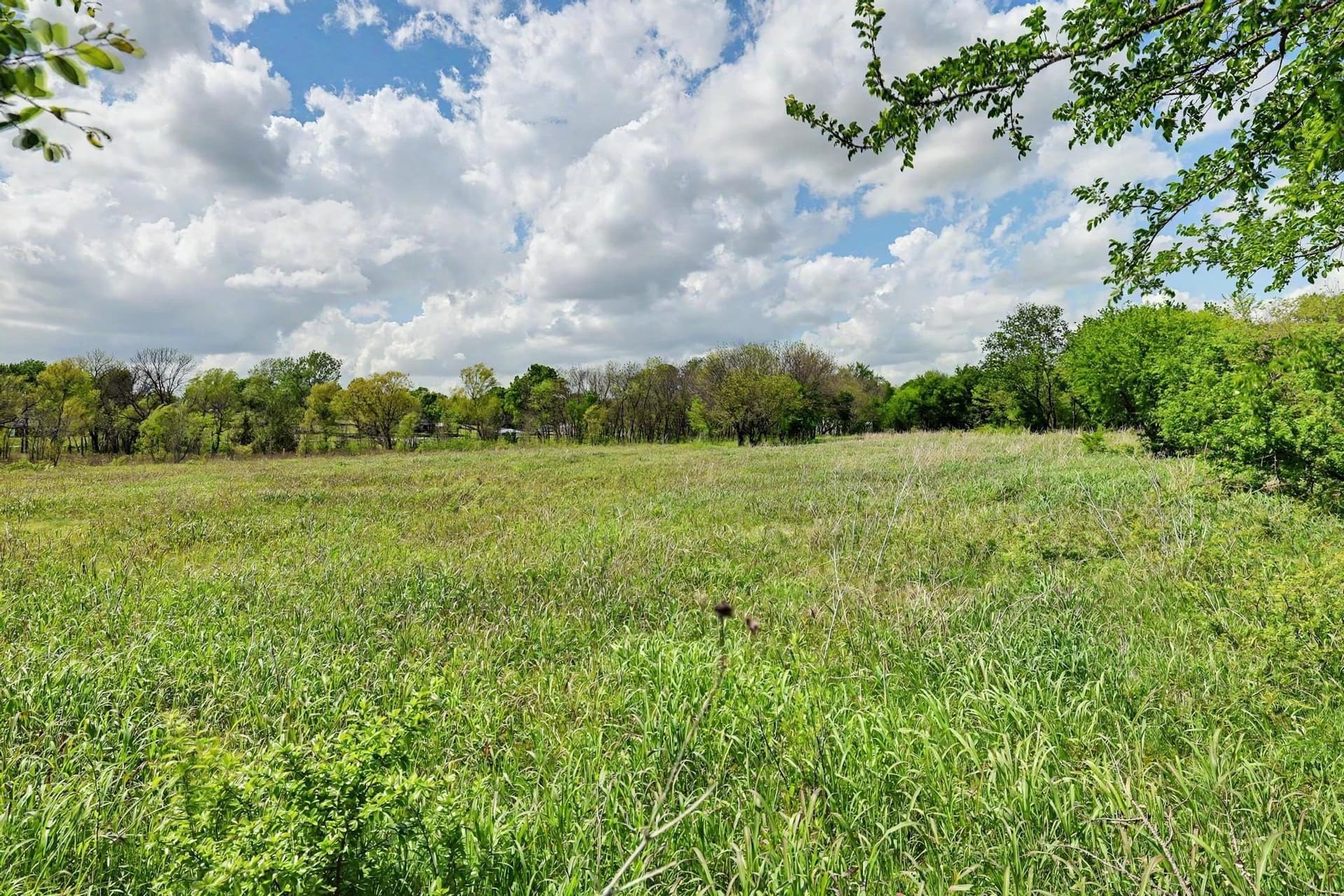 22.41 acres in Grayson County - photo 31
