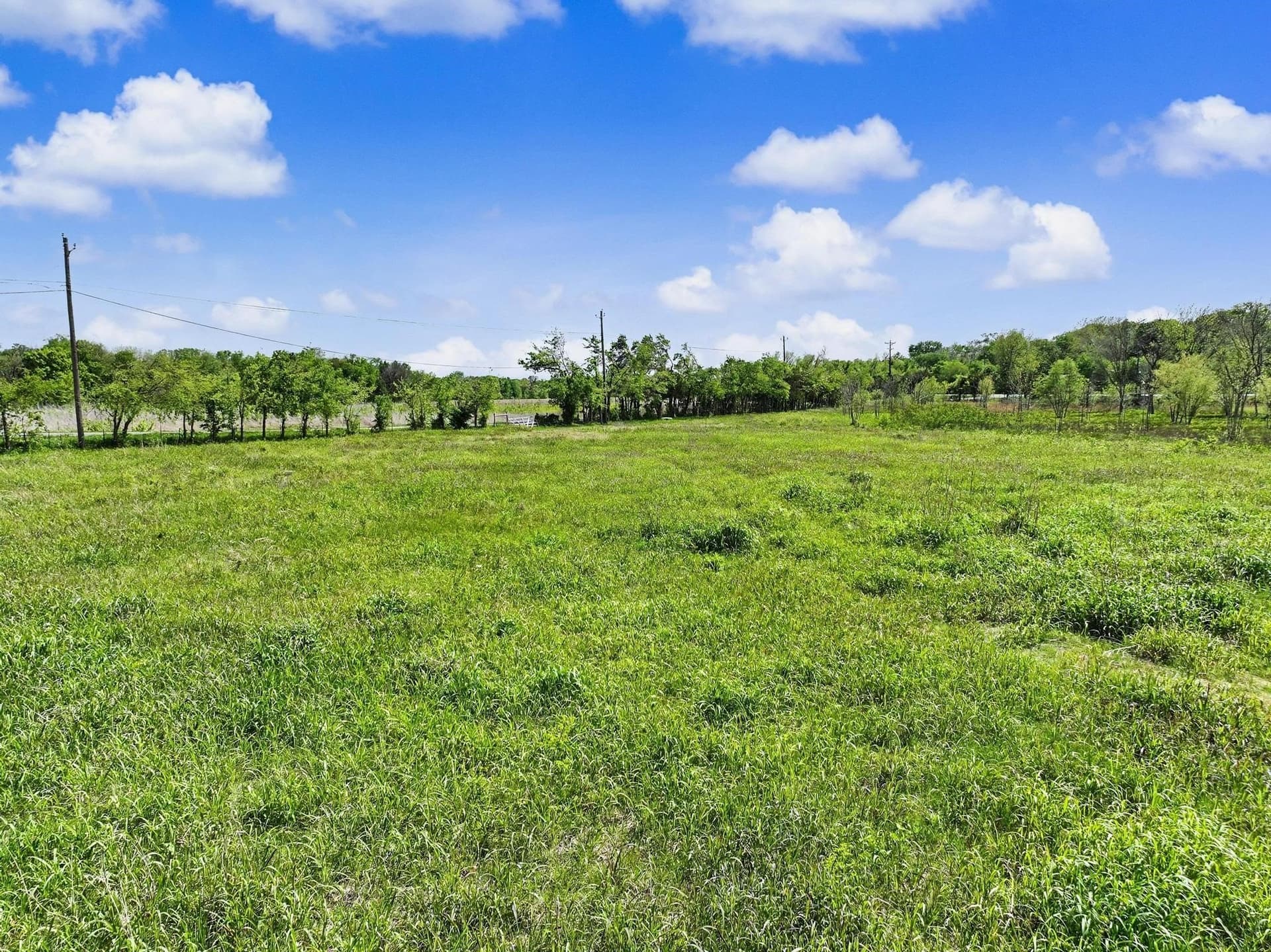 22.41 acres in Grayson County - photo 29