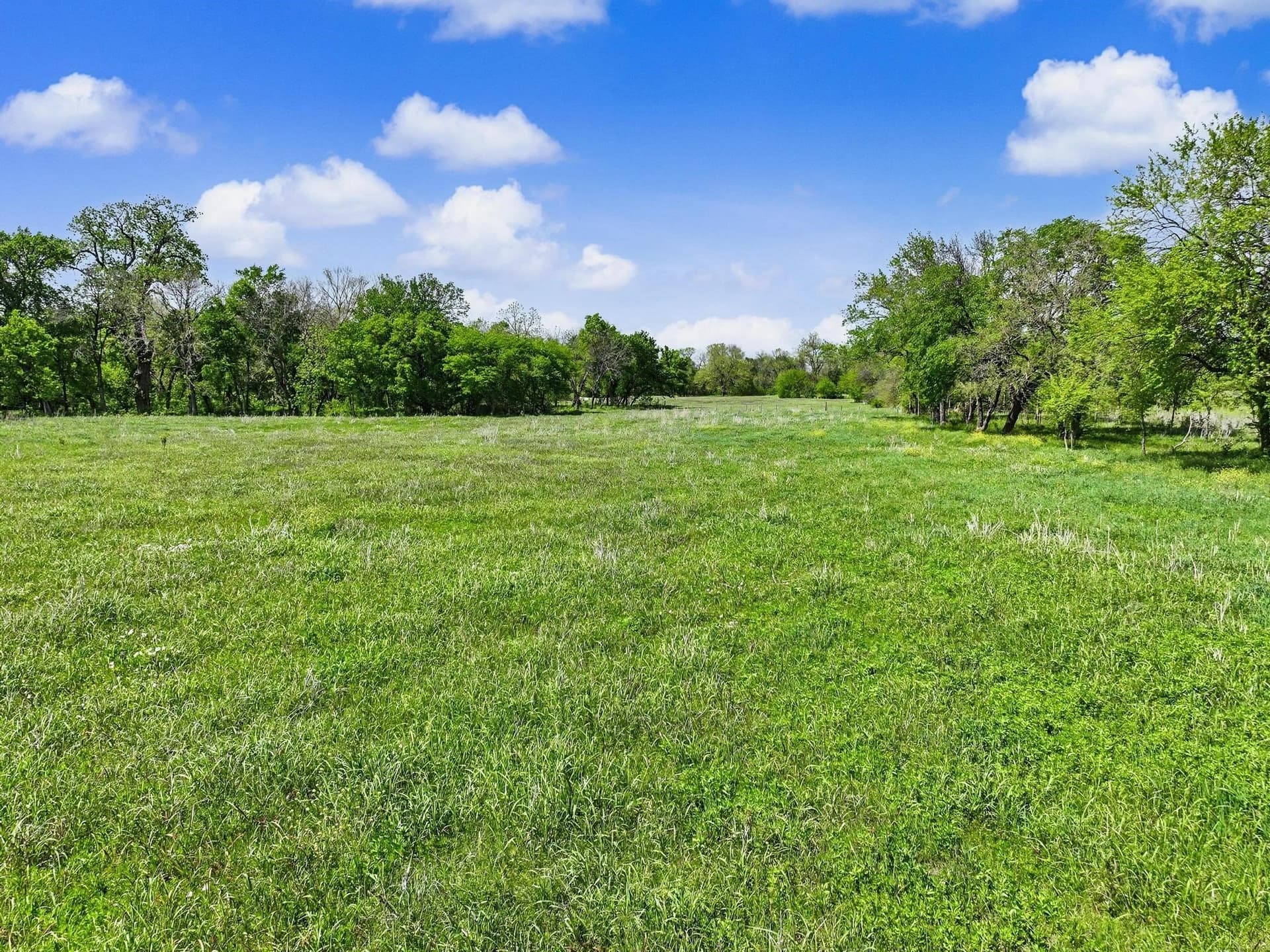 22.41 acres in Grayson County - photo 22