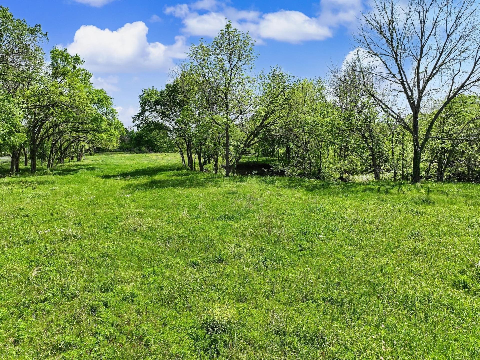 22.41 acres in Grayson County - photo 23