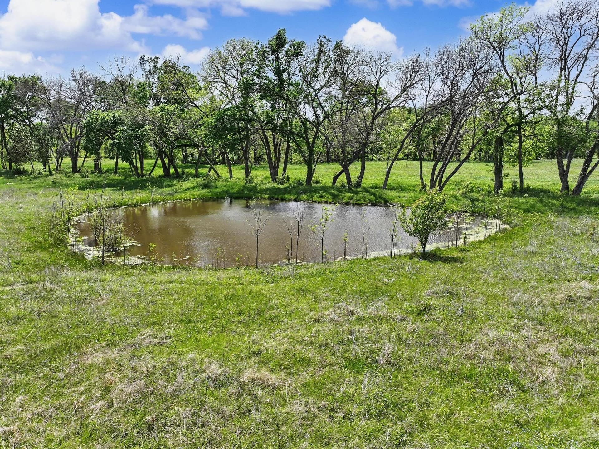 22.41 acres in Grayson County - photo 18