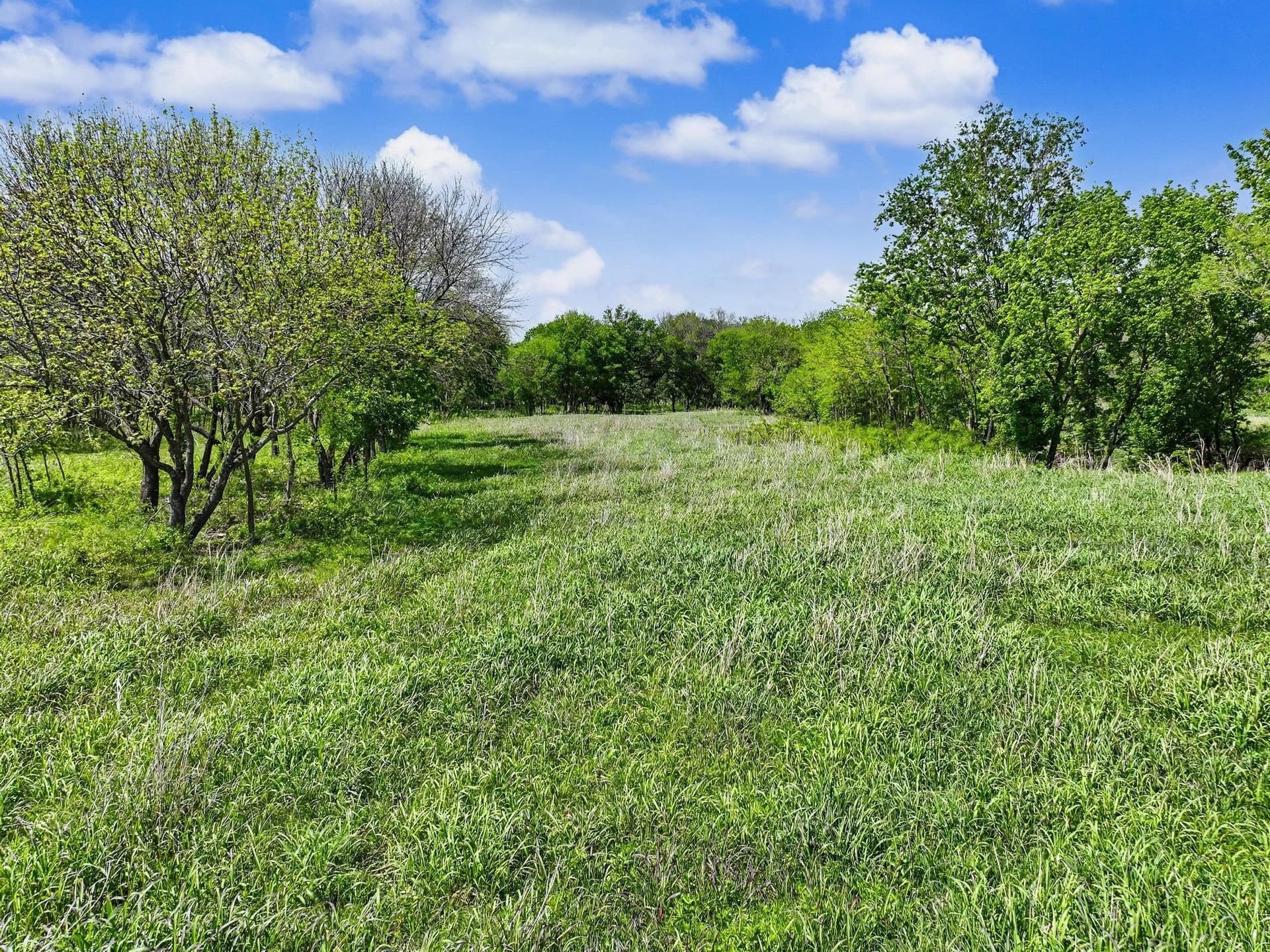 22.41 acres in Grayson County - photo 28