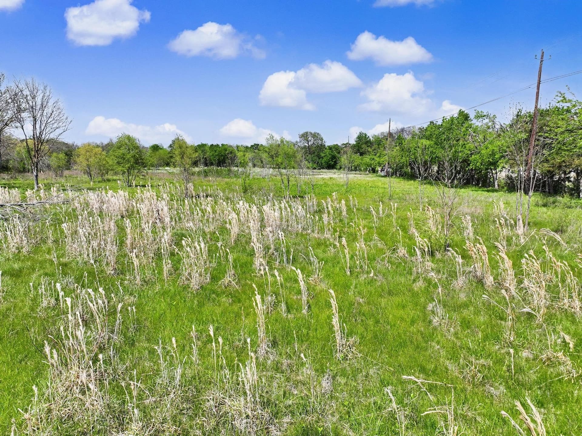 22.41 acres in Grayson County - photo 27